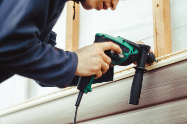 Best Siding Painting and Refinishing  in Dorneyville, PA